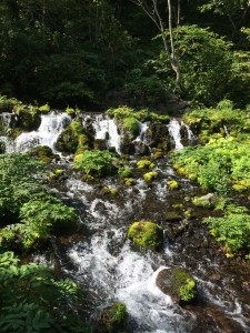 京極ふきだし公園の湧き水