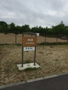 北海道安平町鹿公園のドッグラン