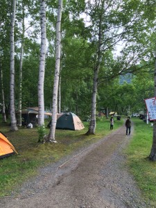 岩尾内湖白樺キャンプ場のキャンプサイト
