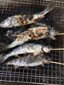 岩尾内湖白樺キャンプ場で釣りをして魚を焼く