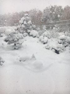 北海道札幌市11月観測史上初の豪雪