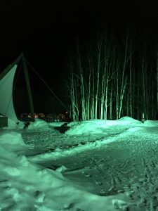 冬キャンプは幻想的